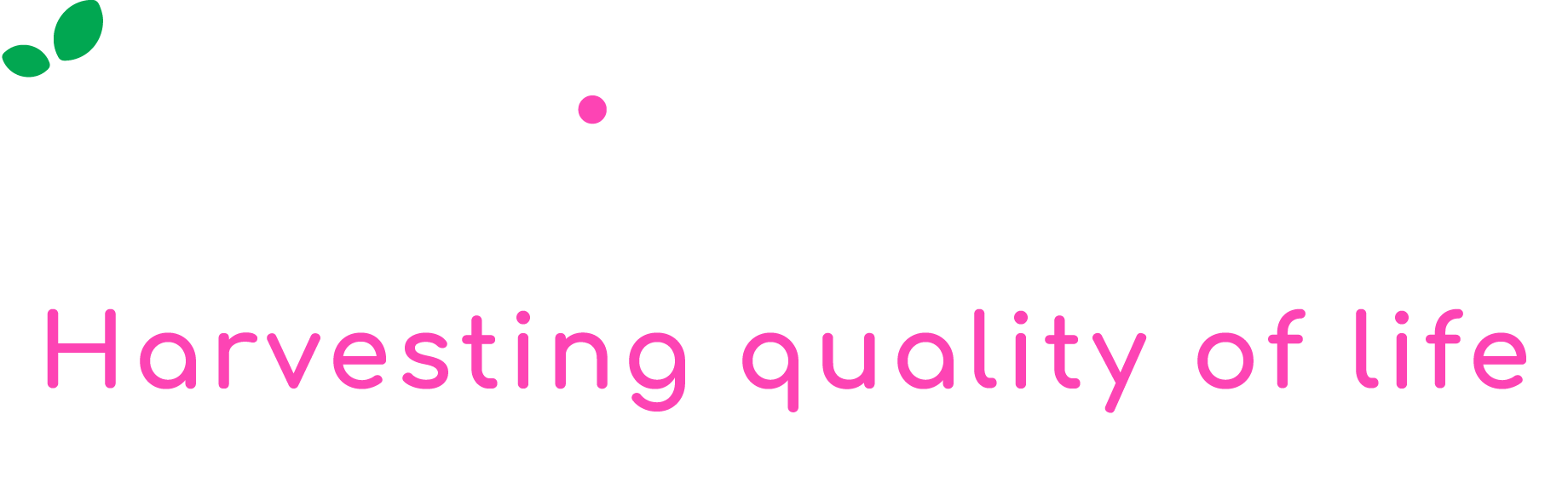 cluzon