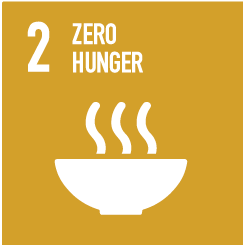 sdg